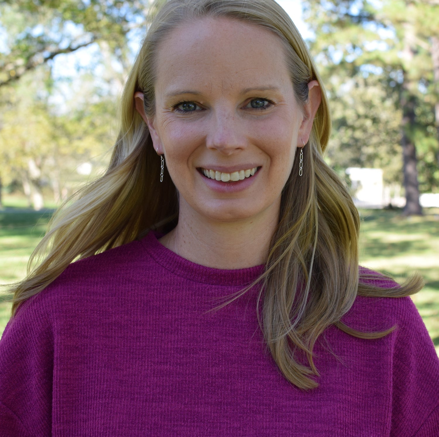 Minimalist Chain Drop Earrings (multiple metal options)